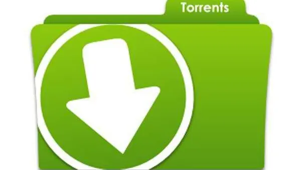 Unul dintre cele mai mari site-uri de TORRENTE a fost ÎNCHIS