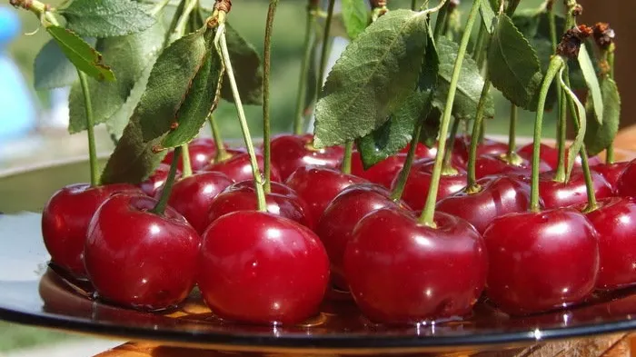 Beneficiile neştiute ale consumului de vişine! Sunt aur pentru organism