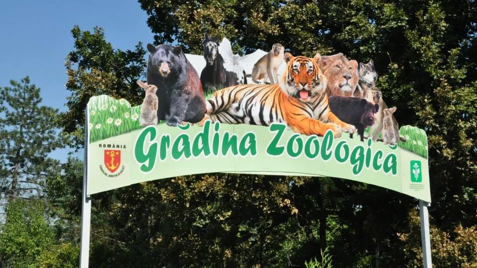 Adăpost de lux pentru maimuţe, la ZOO Galaţi. Grădina Zoologică NU are însă maimuţe