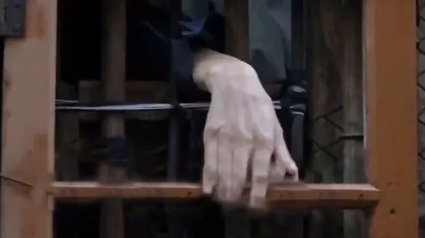 Părinții l-au închis într-o cușcă timp de 30 de ani. Motivul este revoltător!