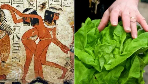 Legătura şocantă dintre salata verde şi sex. Cel mai mare secret al egiptenilor