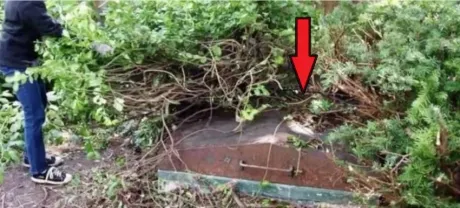 Au descoperit o uşă de metal în grădină. Şi-au făcut curaj şi au deschis-o! Şoc! Ce secret ascundea