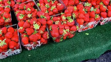 Secretul pe care nimeni nu ți-l spune despre căpșunile din supermarket. Ce conțin