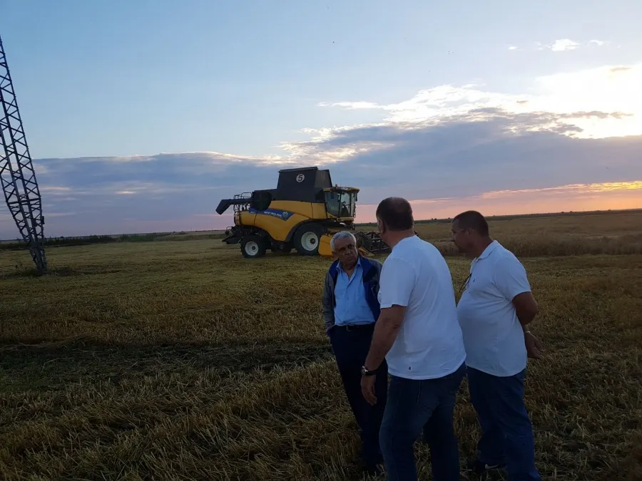 Petre Daea şi veşnica obsesie: Dacă aţi observat, grămezile de lână de pe câmp au început să dispară
