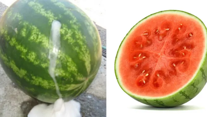 Cum recunoşti un pepene roşu injectat