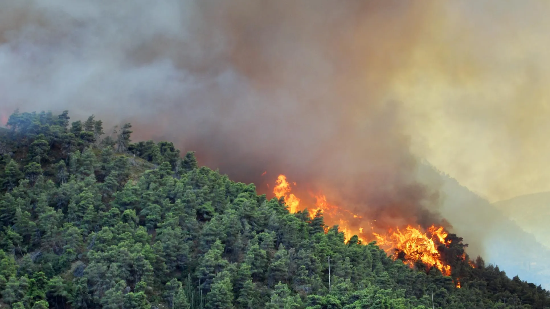 Patrimoniu UNESCO în pericol. Mii de oameni evacuați dintr-un parc național cuprins de incendii