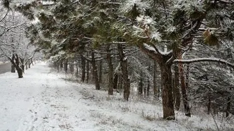 Vremea o ia razna! Meteorologii nu mai înţeleg nimic. NINSORI la început de vară