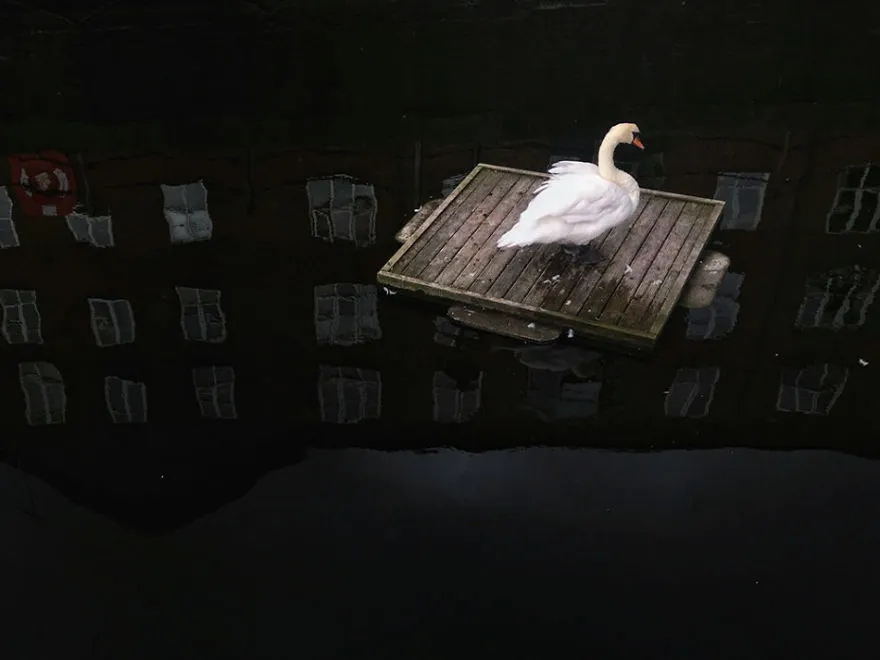 Top 10 cele mai frumoase fotografii realizate cu iPhone-ul! Nu o să-ți vină să crezi