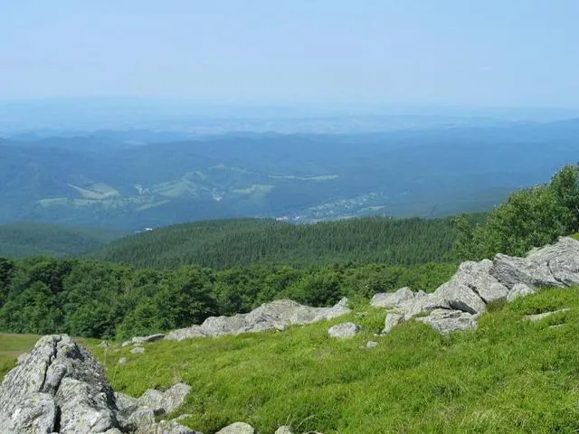 Sălbăticia naturii surprinsă într-un filmuleţ uimitor, în munţii Banatului