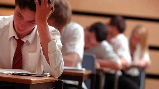 Subiecte BAC 2017 Economie. Ce subiecte au primit elevii la Economie. Barem de corectare