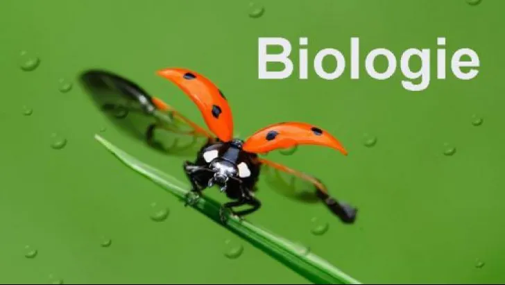 Subiecte BAC 2017 Biologie. Ce subiecte au primit elevii la Biologie. Barem de corectare