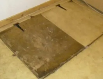 Poliţia a intrat în casa unui medic.Au găsit o trapă în podea.Au deschis-o, ŞOC ce se întâmpla acolo