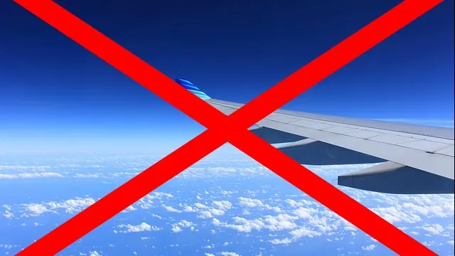Ce să nu bei niciodată în avion. Motivul e amuzant