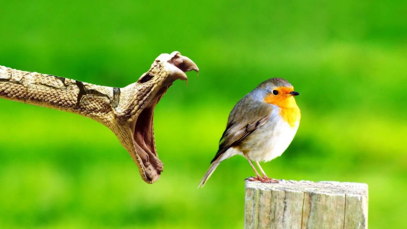 VIDEO. Fotografii spectaculoase, făcute chiar la momentul potrivit. Capturile par ireale