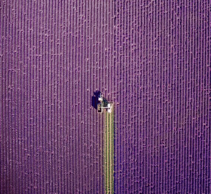 Top 5 cele mai bune fotografii din 2017 înscrise în concursul National Geographic Traveler