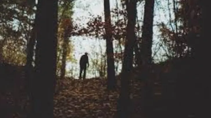 A luat-o pe scurtătură, prin pădure. A auzit un urlet. Când a dat frunzele la o parte, şoc!