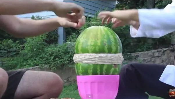 Cel mai interesant experiment cu pepeni. Va plesni sau nu? VIDEO