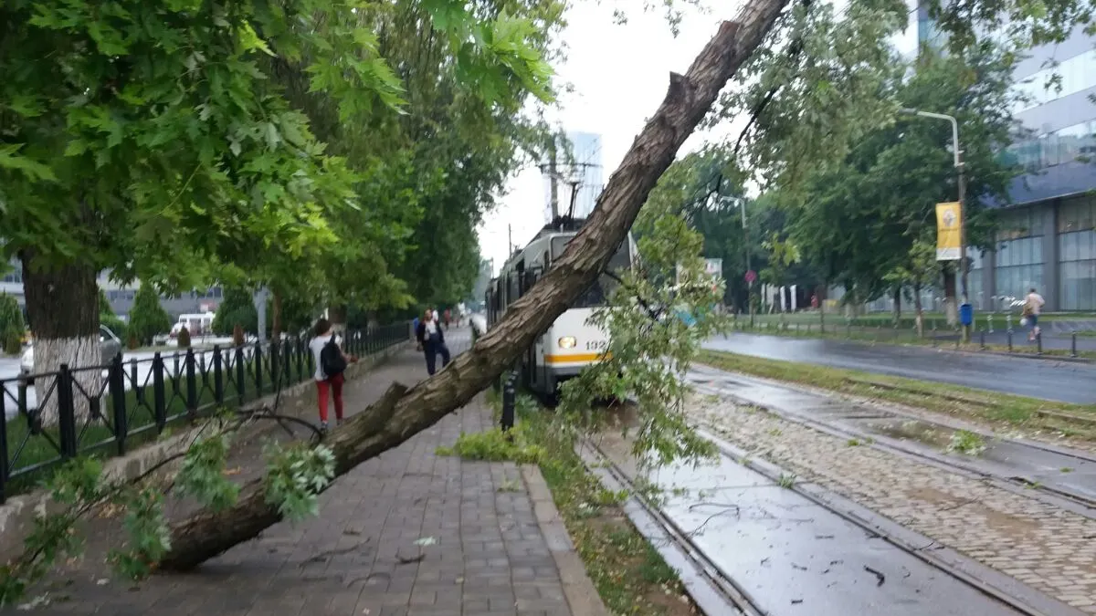 Incident pe linia tramvaiului 41, din Capitală. Circulaţia a fost reluată