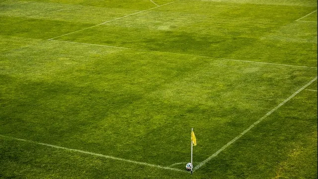 FC Voluntari a câștigat Supercupa României, după 1-0 cu Viitorul