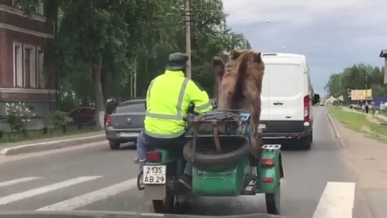 Numai în Rusia se poate întâmpla aşa ceva. Imaginile care te vor face să mori de râs