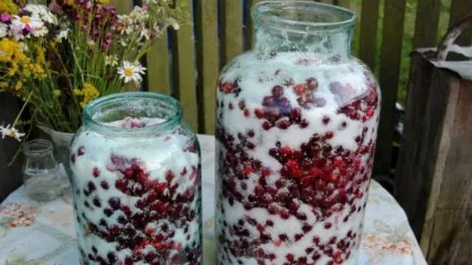 Cum să faci cea mai bună VIŞINATĂ. Secretul combinării ingredientelor