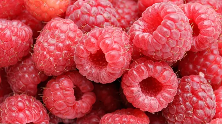 Cum să faci cel mai bun sirop de zmeură - reţeta deliciului