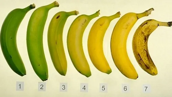 Vezi când este cel mai bine să consumi bananele