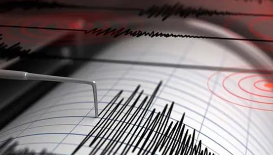 Cutremur de 5,6 grade, înregistrat în această dimineață