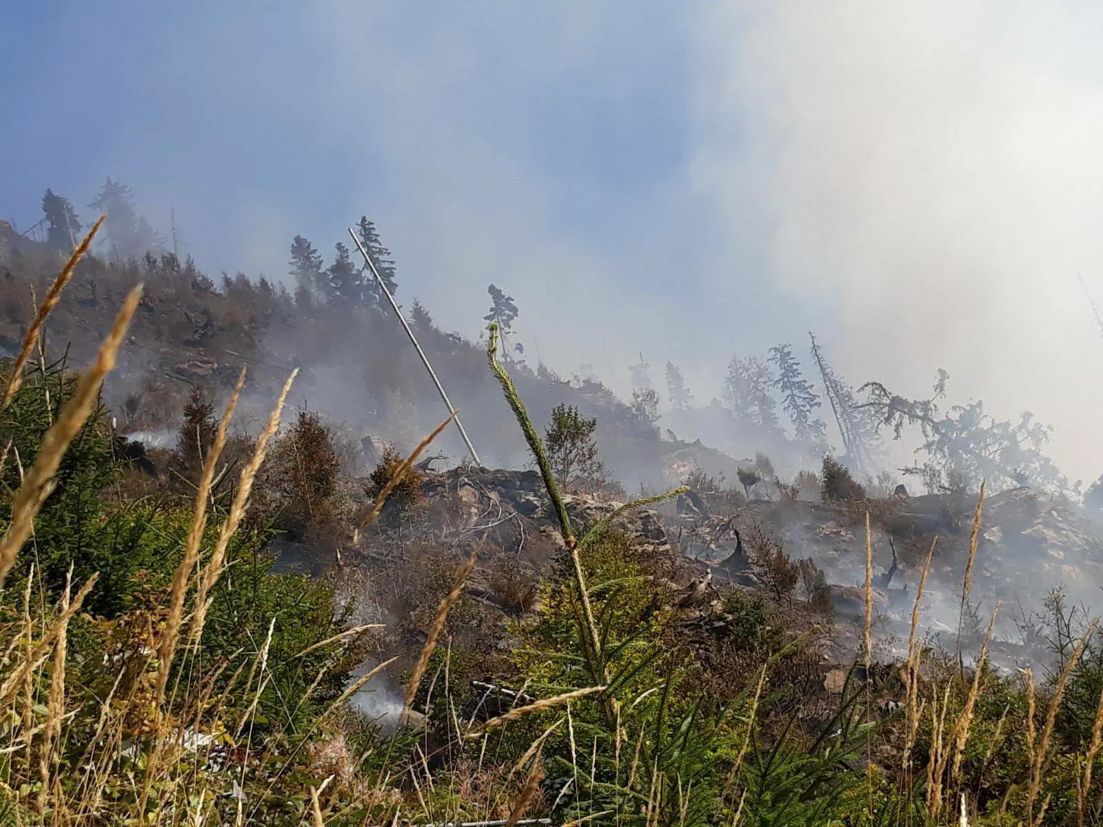 Incendiu puternic în Bistrița-Năsăud. Au ars opt hectare de pădure