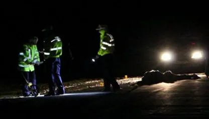 Sfârşit tragic pentru un bărbat care a încercat să traverseze Autostrada Bucureşti - Piteşti