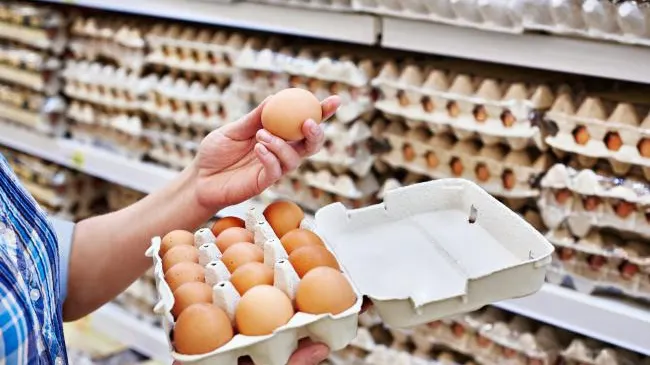 Reuniune specială la Bruxelles pe scandalul ouălor contaminate cu fipronil