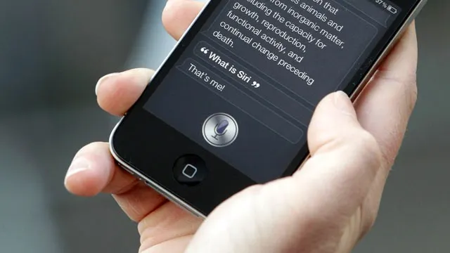 Cum arată femeia care dă vocea aplicaţiei Siri, de pe Iphone. Surpriză!