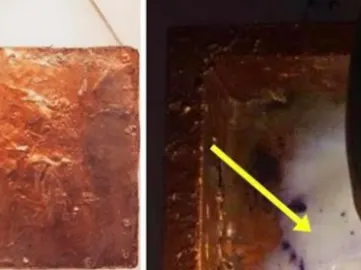 A cumpărat un tablou 3D numai cu 88 de dolari. A găsit ceva ascuns în pânză. I-a schimbat viaţa