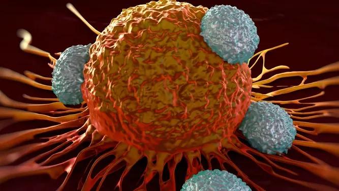 Leguma-minune care previne cancerul de colon