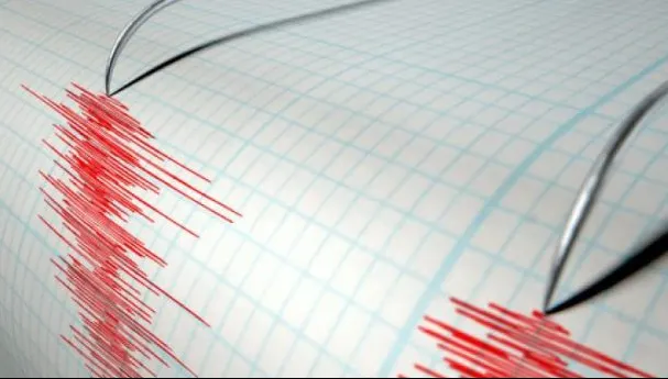 Două cutremure în România, azi-noapte, în zone seismice diferite