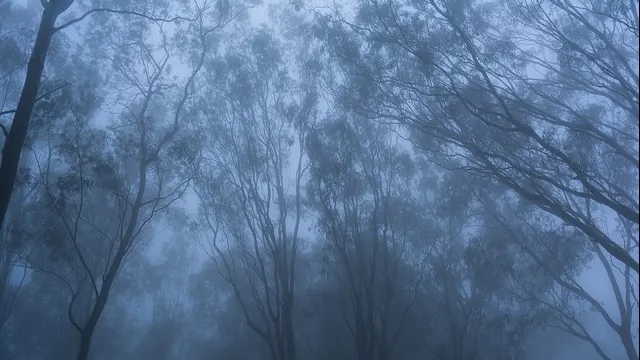 Atenționare meteo: Este Cod Galben în 12 județe