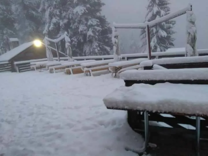 IMAGINI de poveste cu ninsoarea căzută în această dimineață în România