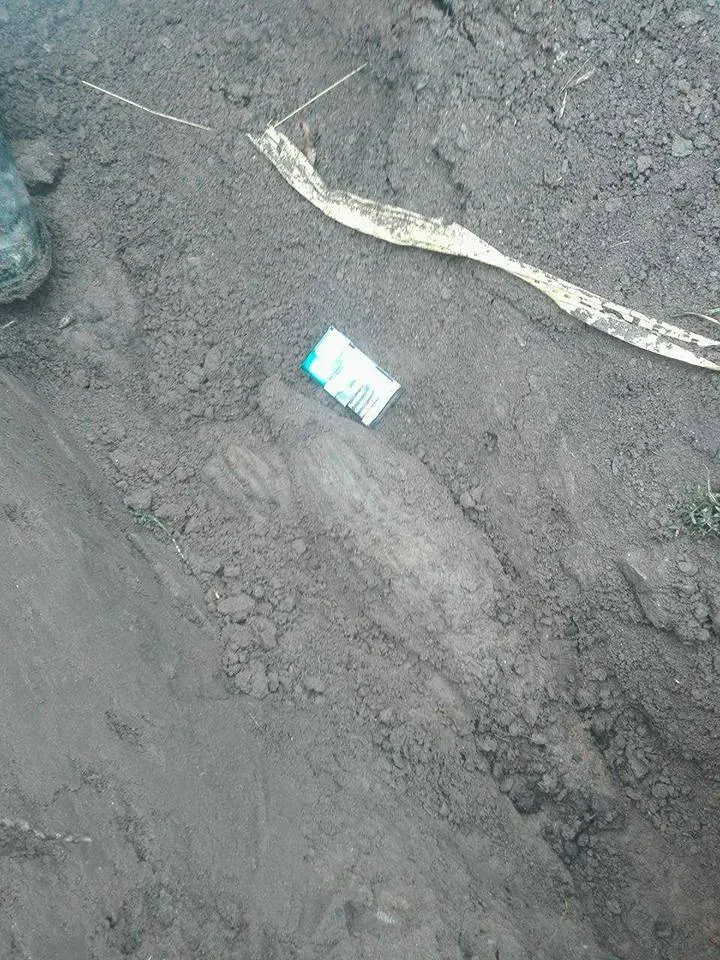 GALERIE FOTO. Descoperire uluitoare făcută de muncitorii CFR