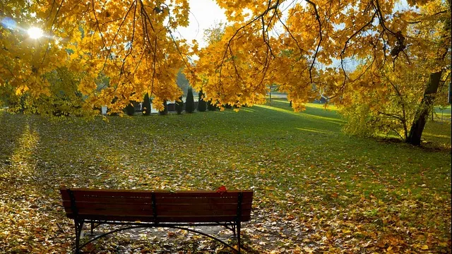 O nouă schimbare a vremii. Prognoza meteo pentru miercuri, joi și vineri