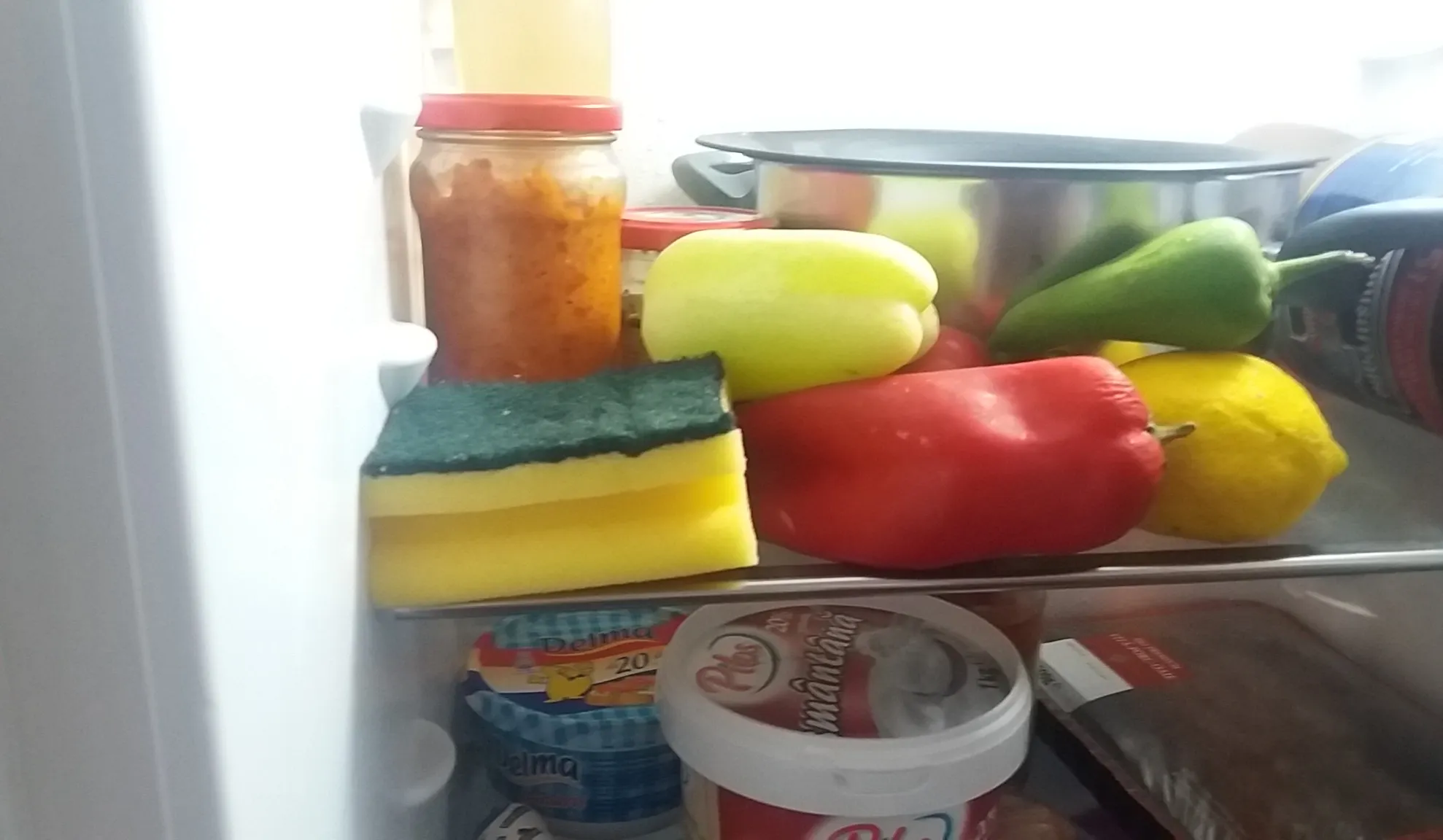 A băgat un burete în frigider și a așteptat! În scurt timp a observat diferenţa