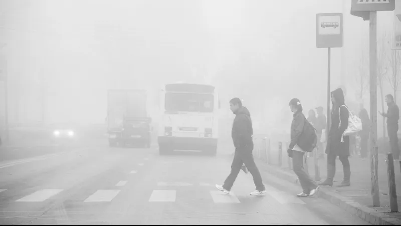 Cod galben de ceață în mai multe județe și în București, vineri dimineață