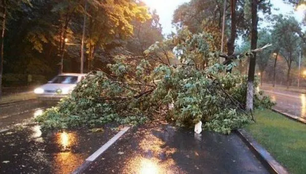 Vremea rea face ravagii în Capitală. Două persoane rănite, după ce un copac a căzut peste maşină