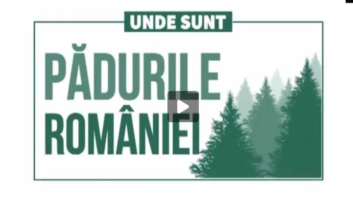 Cât a mai rămas din pădurile României?