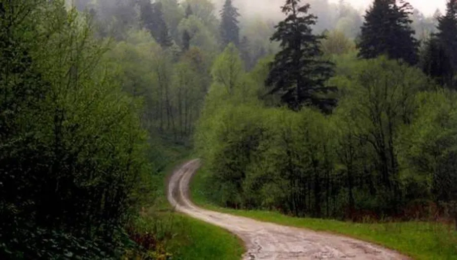 Şi-a dus băiatul în pădure, l-a legat de copac şi l-a tăiat pe mâni. A filmat şi i-a trimis soţiei