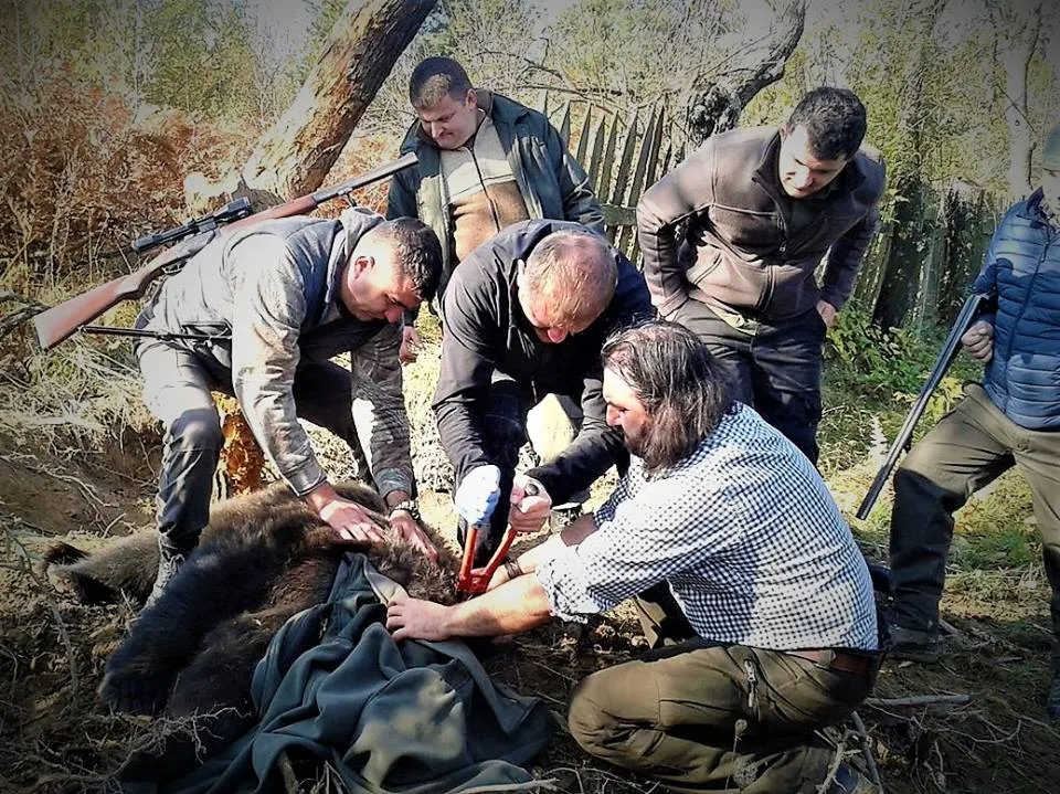 GALERIE FOTO. A salvat o URSOAICĂ, dar ce s-a întâmplat pe urmă a șocat pe toată lumea
