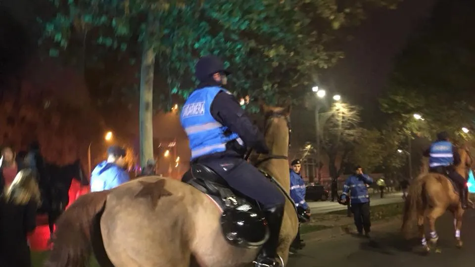 Carmen Dan, convocată în Parlament după ce jandarmii au ieșit călare la proteste