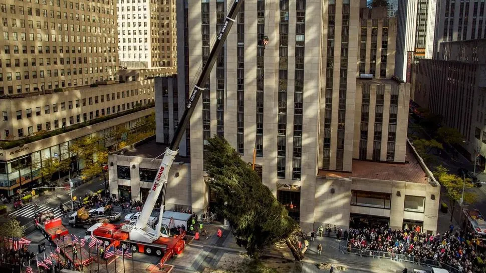 Pregătiri de Crăciun la New York. Cum va arăta celebrul brad de la Rockefeller Center