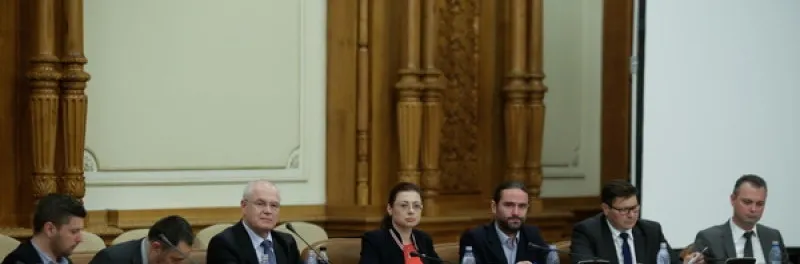 Comisia de anchetă a alegerilor prezidențiale din 2009 continuă audierile