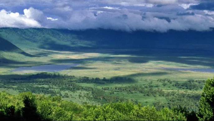 Avion prăbuşit în Tanzania: cel puţin 11 persoane şi-au pierdut viaţa. Cei mai mulţi erau turişti