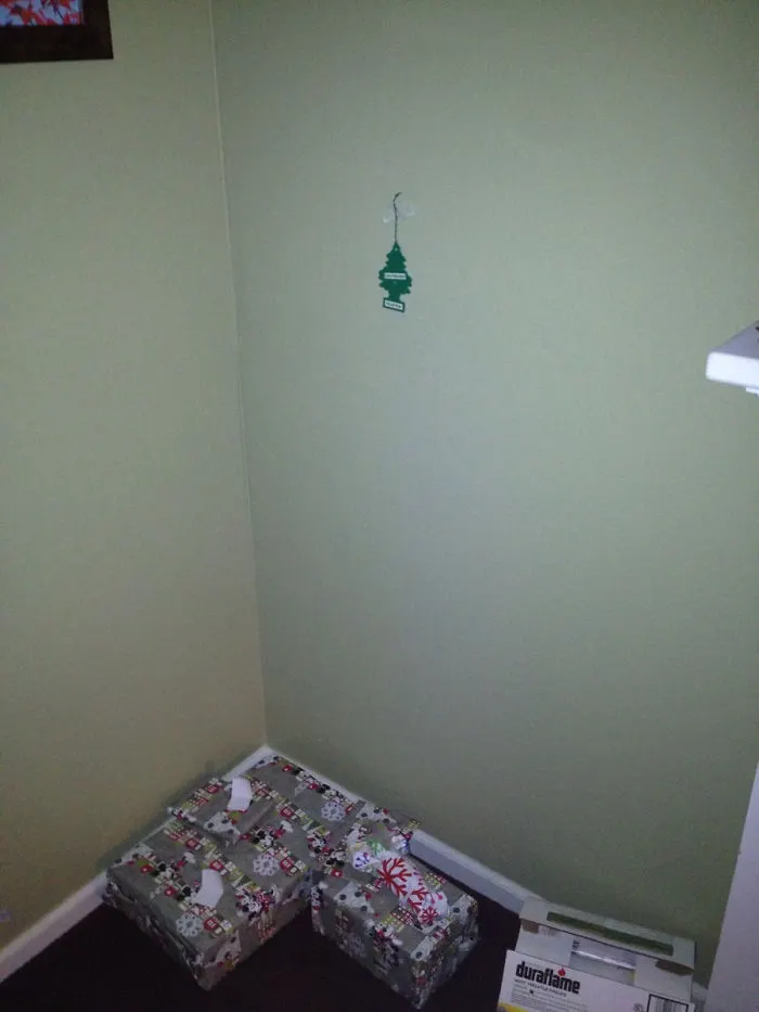 Cei mai leneși oameni din lume? Râzi în hohote când vezi cum au decorat casa pentru Crăciun